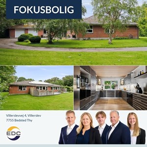 opslagsbillede