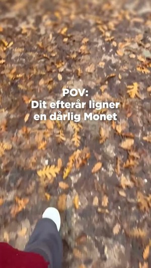opslagsbillede