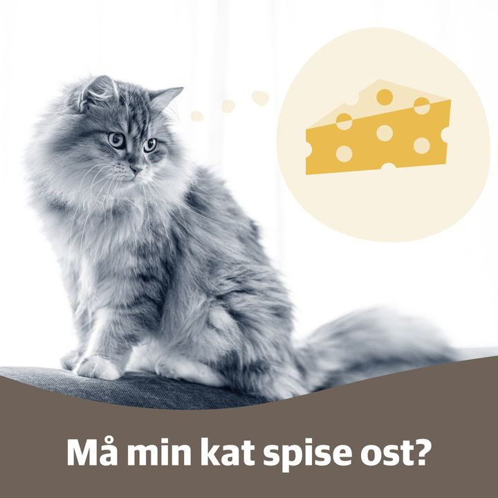 Opdatér dig her: Det nyeste fra Hjørring