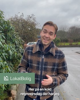 Opslagsbillede