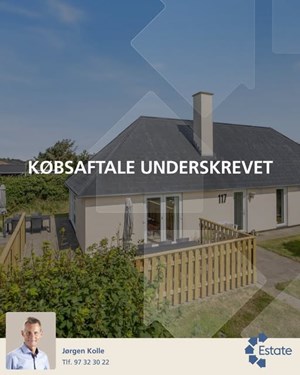 opslagsbillede