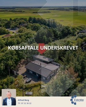 opslagsbillede