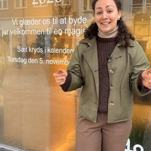 Opslagsbillede