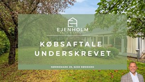 opslagsbillede