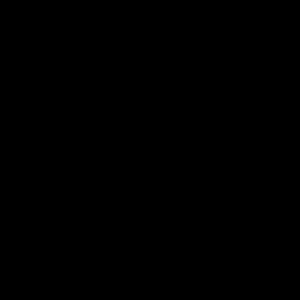 Opslagsbillede