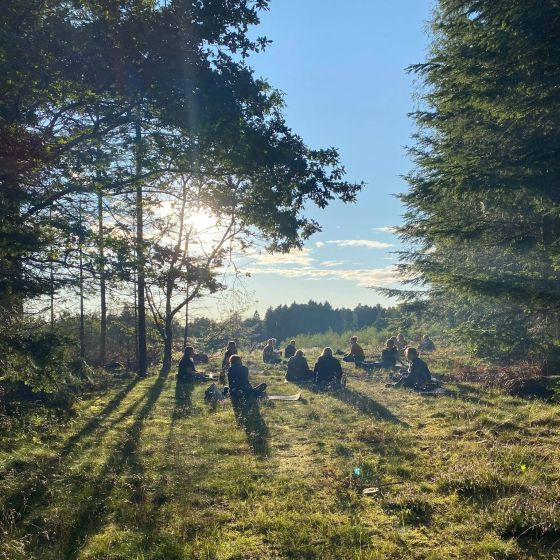 Find ro og fællesskab i naturen med Foreningen Jordforbindelsen