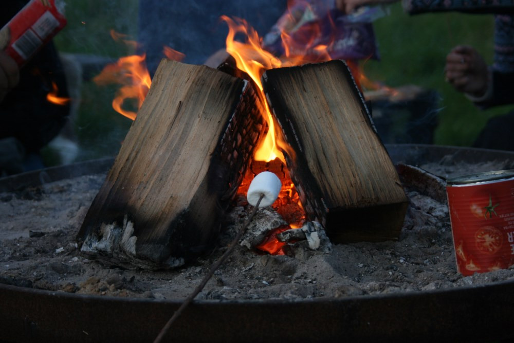 Hyggelig aften i Naturpark Åmosen med bål og stjernekig