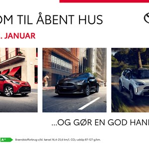 Opslagsbillede