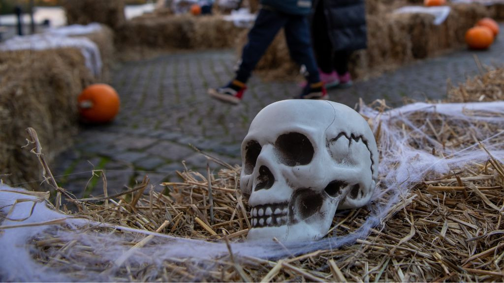 Halloween fest i Hillerød: En uhyggelig sjov dag for alle