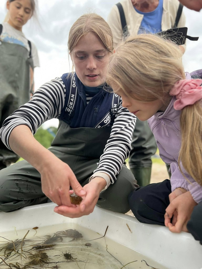 Oplev sommerens maritime eventyr i Fynshav