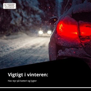 Opslagsbillede