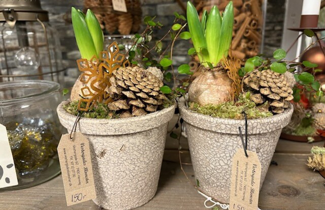 Fejr julen med blomster fra Vestergades Blomster: Se åbningstider over julen