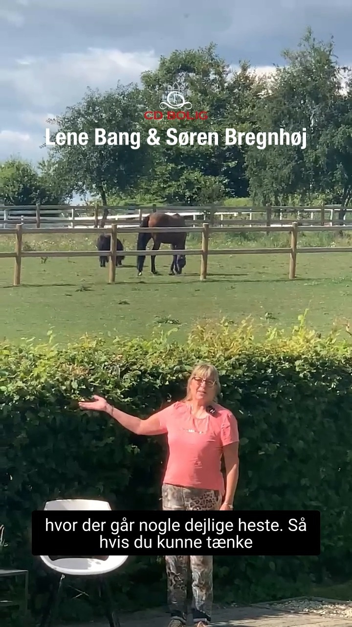 Det nyeste på Silkeborgs opslagstavle