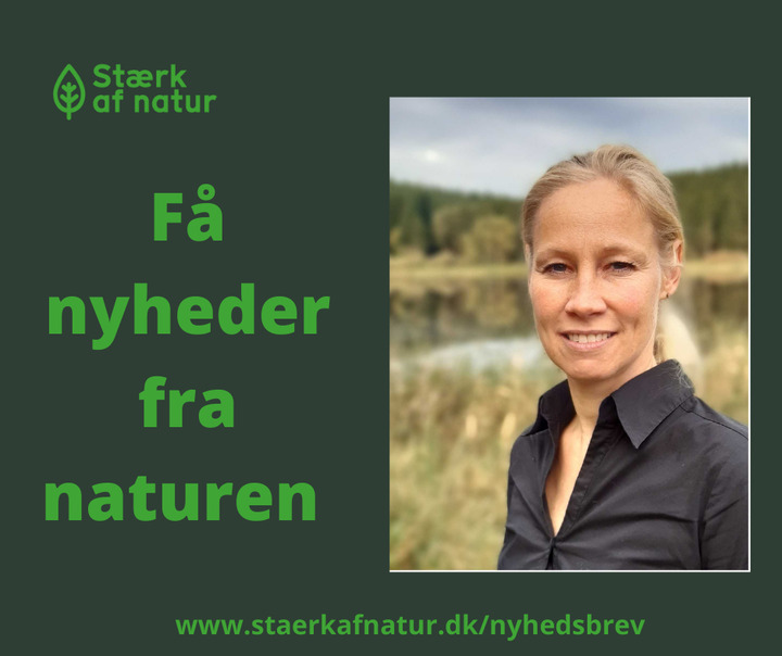 Hold dig ajour med dagens opdateringer fra Hammel