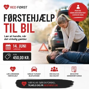 opslagsbillede