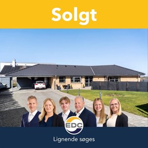 opslagsbillede