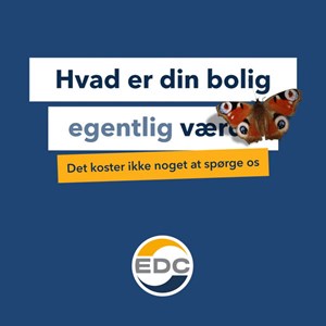 Opslagsbillede