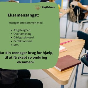 opslagsbillede