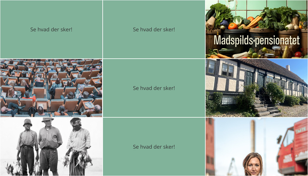 Oplevelser i Ebeltoft: Fra foredrag til byvandringer