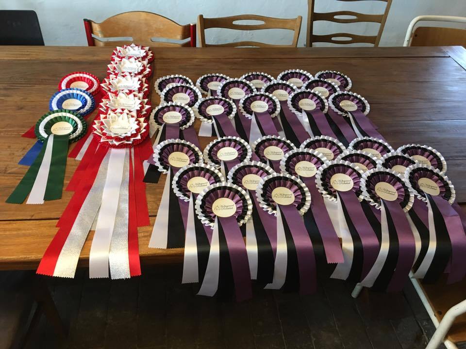 Stævne og sommerfest