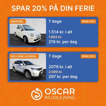 Opslagsbillede