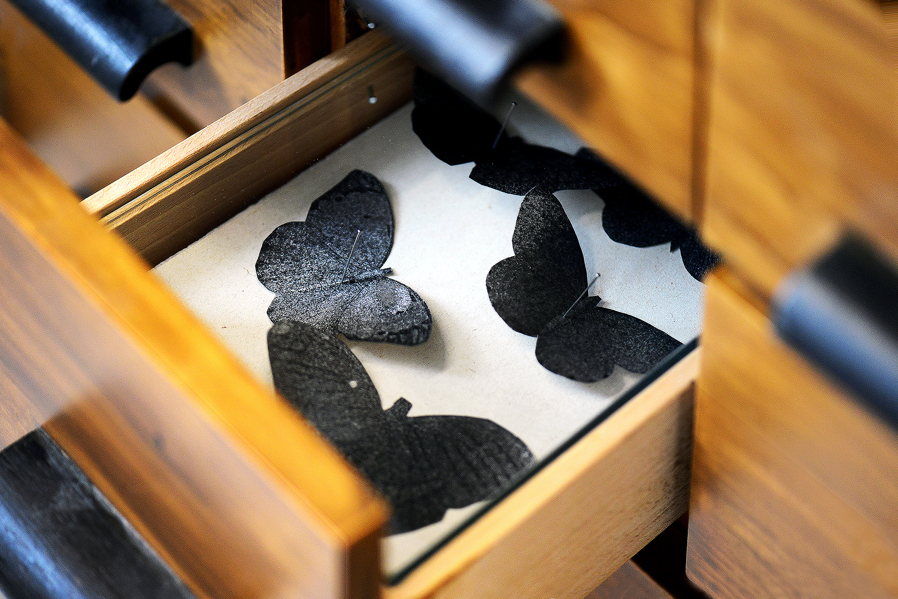 Gratis omvisning i skyggebibliotekets spejl