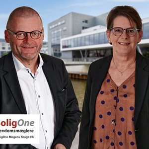 Opslagsbillede