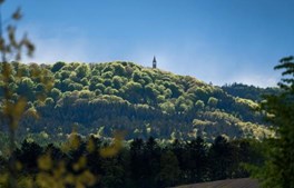 Lokale ildsjæle i Aarhus Kommune får et klimapuf