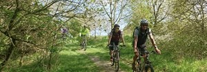 Oplev naturen i Knebel: Vildmarksbrunch, mountainbike og vandreture