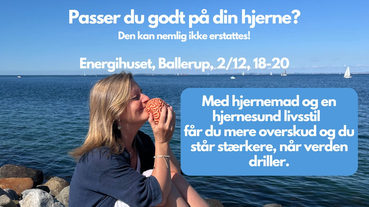 Oplæg om hjernesund livsstil i Energihuset