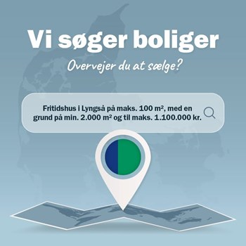 Opslagsbillede