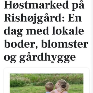Opslagsbillede