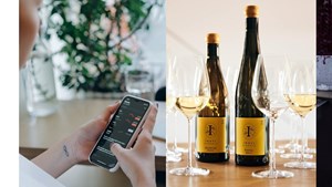 Investering og vinsmagning på Salling Rooftop Aalborg