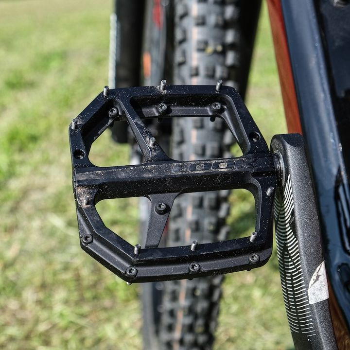 Hold dig ajour med dagens opdateringer fra Horsens