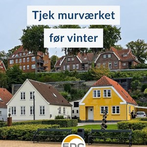Opslagsbillede