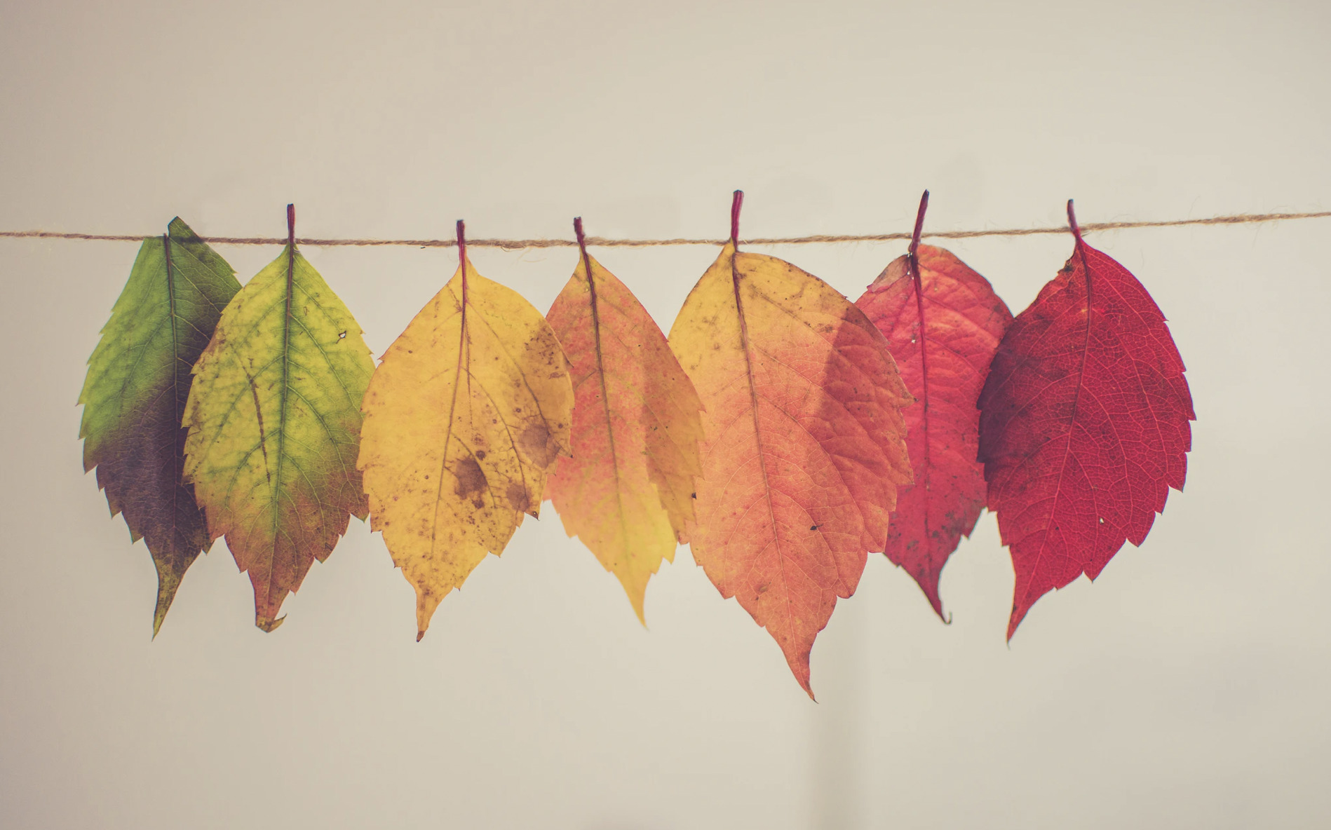 Program til efterårsferien 