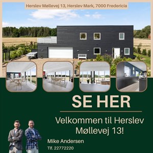 Opslagsbillede