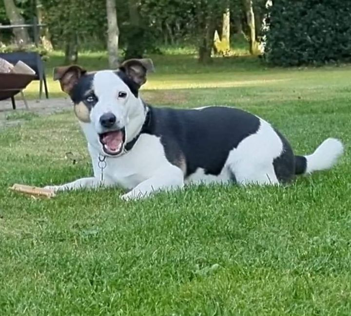 Nyt på opslagstavlen i Sæby