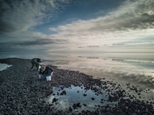 Oplev østerssafari i Nationalpark Vadehavet