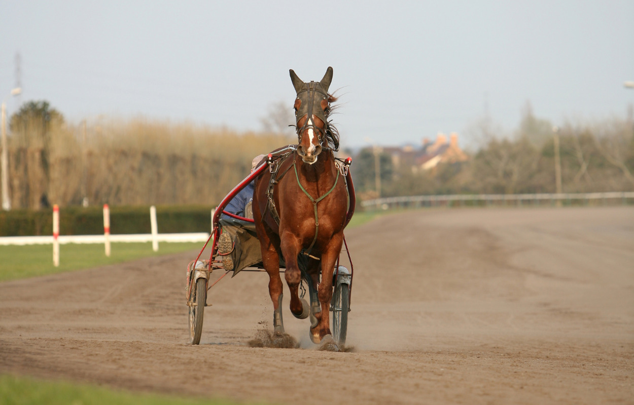 Sidste trav på Billund travbane