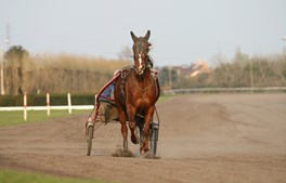 Sidste trav på Billund travbane