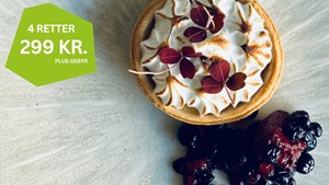 Franskinspireret middag på Restaurant Mast