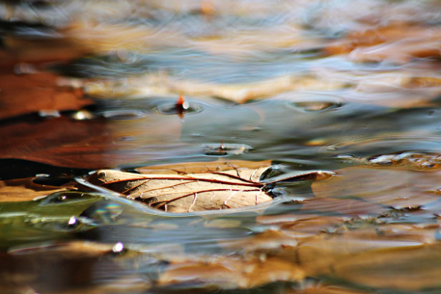 Når et farvel bliver en smuk afsked