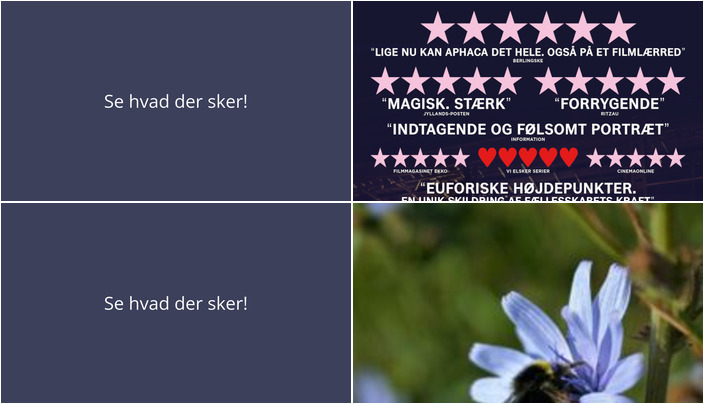 Ugens Aktiviteter i Rudkøbing: Filmpremiere og Naturoplevelser