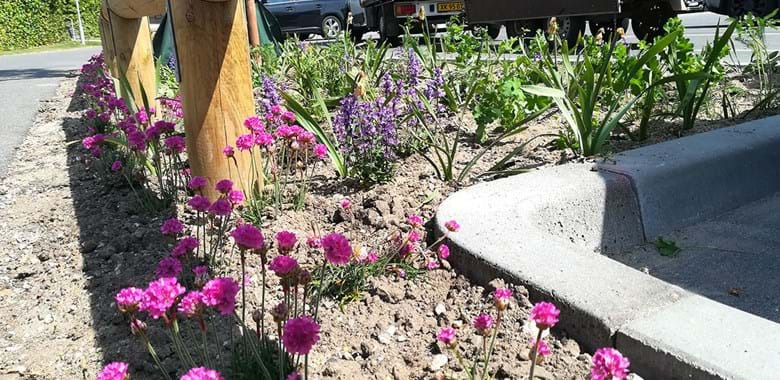 Flere farver på Løvbjergs p-plads