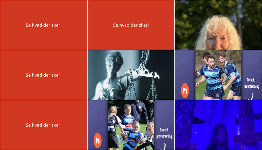 Fra flow-skrivning til rugbytræning: Oplev Hundested i den kommende uge