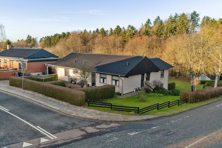 Hold dig ajour med dagens opdateringer fra Hammel