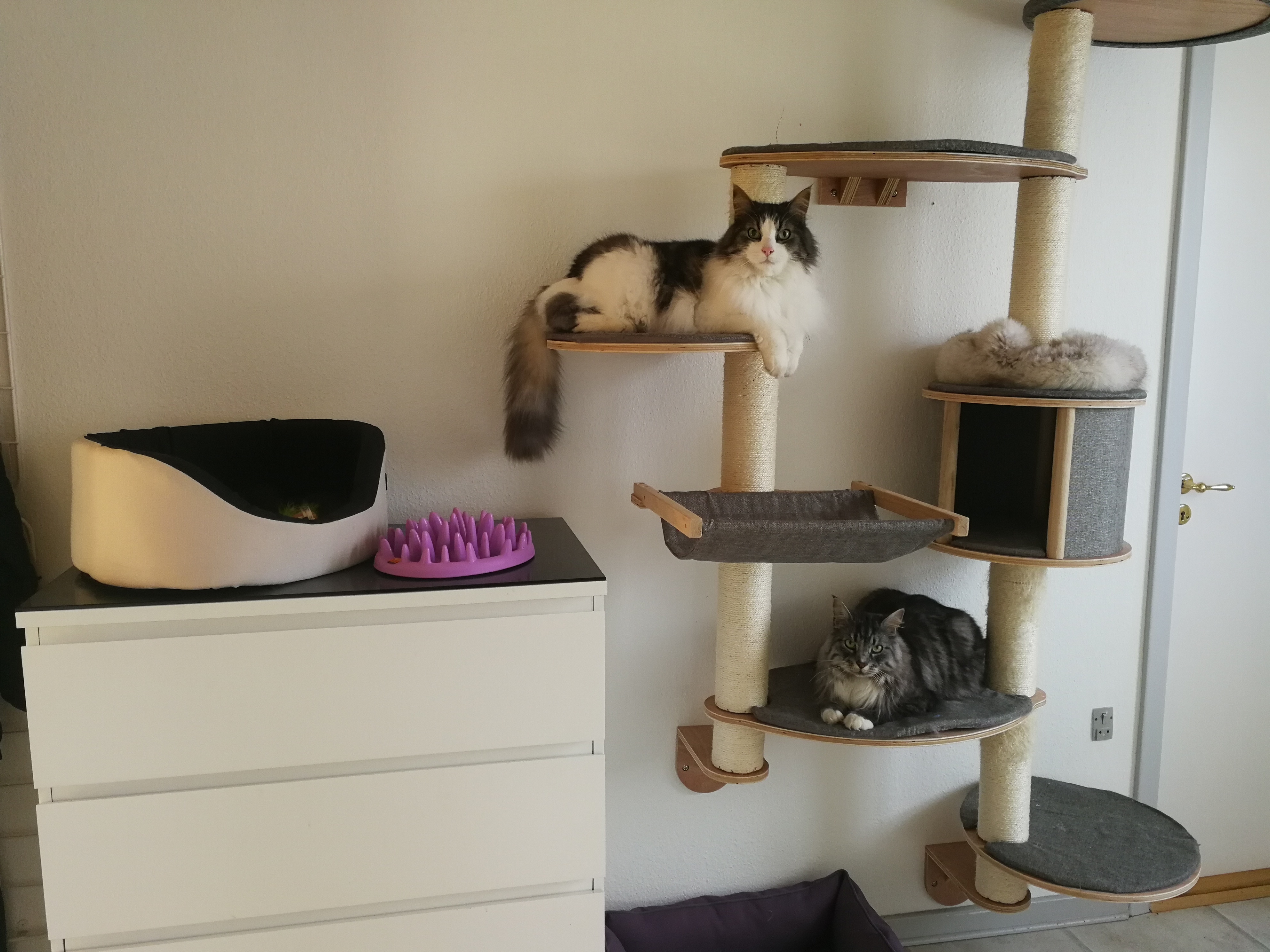 Når storvildts jagten foregår på anden sal