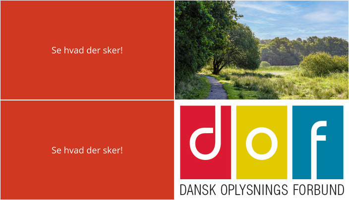 Oplev forårets charme i Viby Sjælland denne weekend