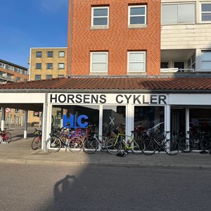 Opslagsbillede